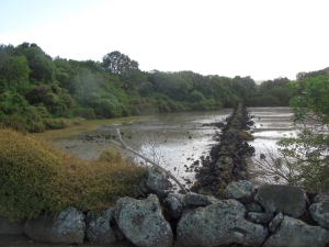 Image of mangerebridge19c.jpg