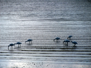 Image of mangerebridge19e.jpg