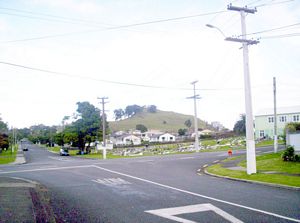 Image of mangerejun07basettingout.jpg