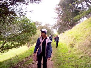 Image of mangerejun07catrack.jpg