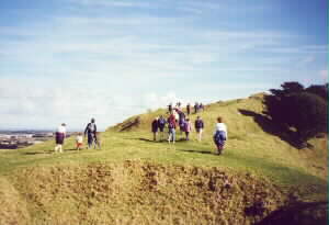 Image of mangeremountainlandmarkertrailq.jpg