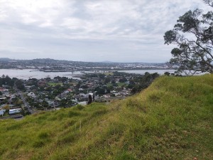 Image of mangeremountainmar26d.jpg