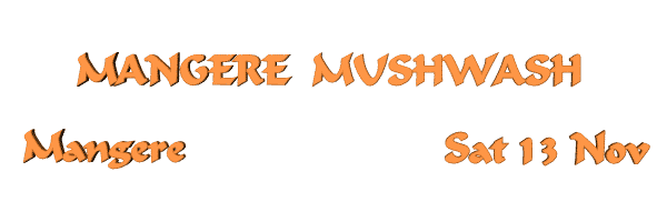 Image of mangeremushwash21.gif