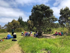 Image of mangerenov19g.jpg