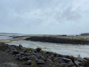 Image of mangerenov21b.jpg