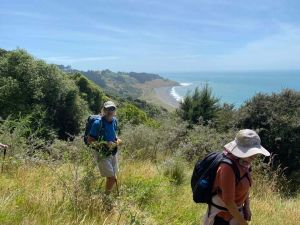 Image of manukabay23b.jpg