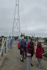 Image of manukaucoast14b.jpg