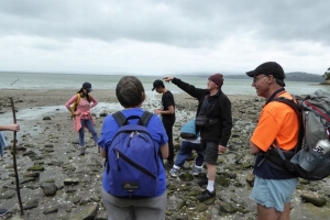 Image of manukaucoast14c.jpg