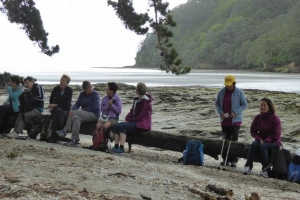 Image of manukaucoast14d.jpg