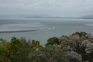 Image of manukaucoast14f.jpg