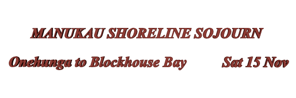 Image of manukaushoreline14.gif