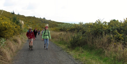 Image of maraetaiaug16d.jpg