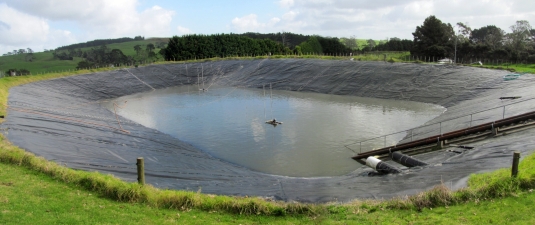 Image of maraetaiaug16j.jpg