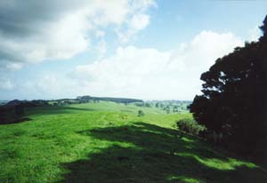 Image of maraetaibrookbyfarm2q.jpg