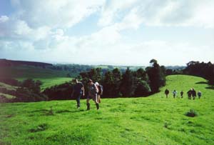 Image of maraetaibrookbyfarm3q.jpg