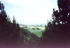 Image of maraetaibrookbyfinaldescentq.jpg