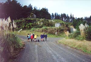 Image of maraetaibrookbyjunction2.jpg