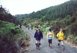 Image of maraetaibrookbyroadbe4gruntq.jpg