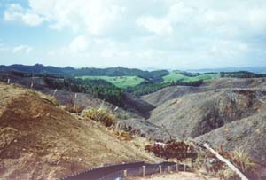 Image of maraetaibrookbyview2.jpg