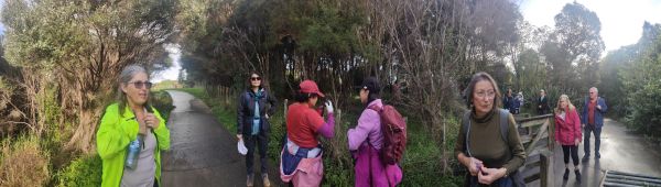 Image of maraetaijun23b.jpg