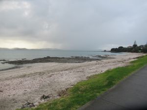 Image of maraetaijun23p.jpg