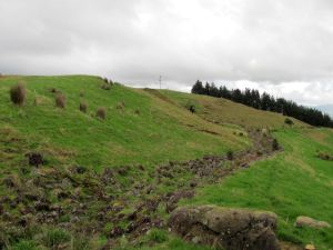 Image of maratotoapr11cjrace.jpg