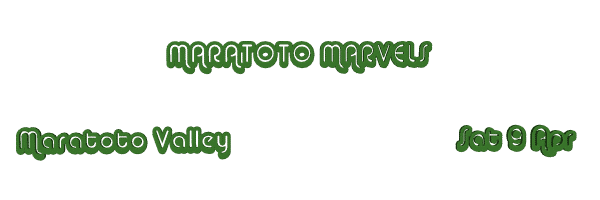 Image of maratotomarvels11.gif