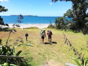 Image of martinsbayfeb19c.jpg