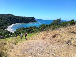 Image of martinsbayfeb19d.jpg