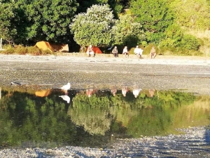 Image of martinsbayfeb19f.jpg