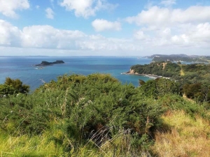 Image of martinsbayfeb19k.jpg