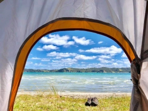 Image of martinsbayfeb19u.jpg