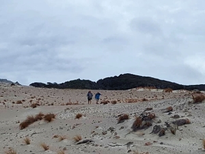 Image of masonbaydec17a.jpg