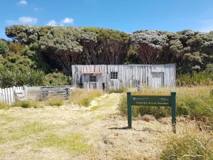 Image of masonbaydec17b.jpg