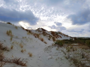 Image of masonbaydec17c.jpg