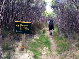 Image of masonbaydec17i.jpg