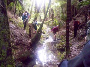 Image of mataitai05crossing.jpg