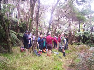 Image of mataitai05elevenses.jpg