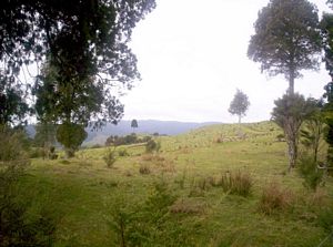 Image of mataitai05hunuarange.jpg