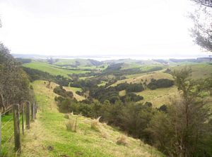 Image of mataitai05lunchview.jpg