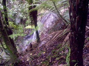 Image of mataitai05waterfall.jpg