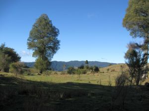 Image of mataitai10faview.jpg