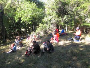 Image of mataitai10gfluinch.jpg