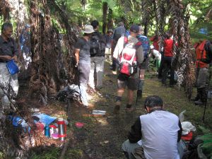 Image of mataitai10hjkoreanluinch.jpg