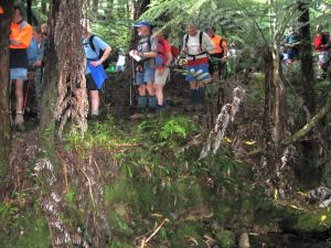 Image of mataitai10hltrack.jpg