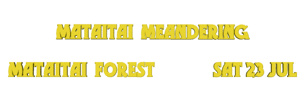 Image of mataitaimeandering.gif