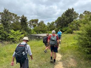 Image of matakanapakiridec23b.jpg