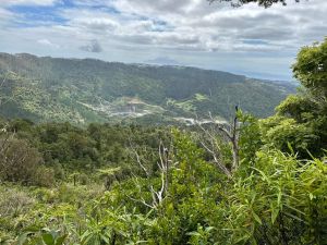 Image of matakanapakiridec23c.jpg