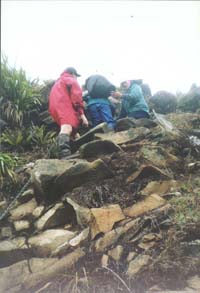 Image of matautararoyal2.jpg