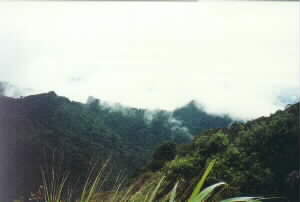 Image of matautaraview2q.jpg